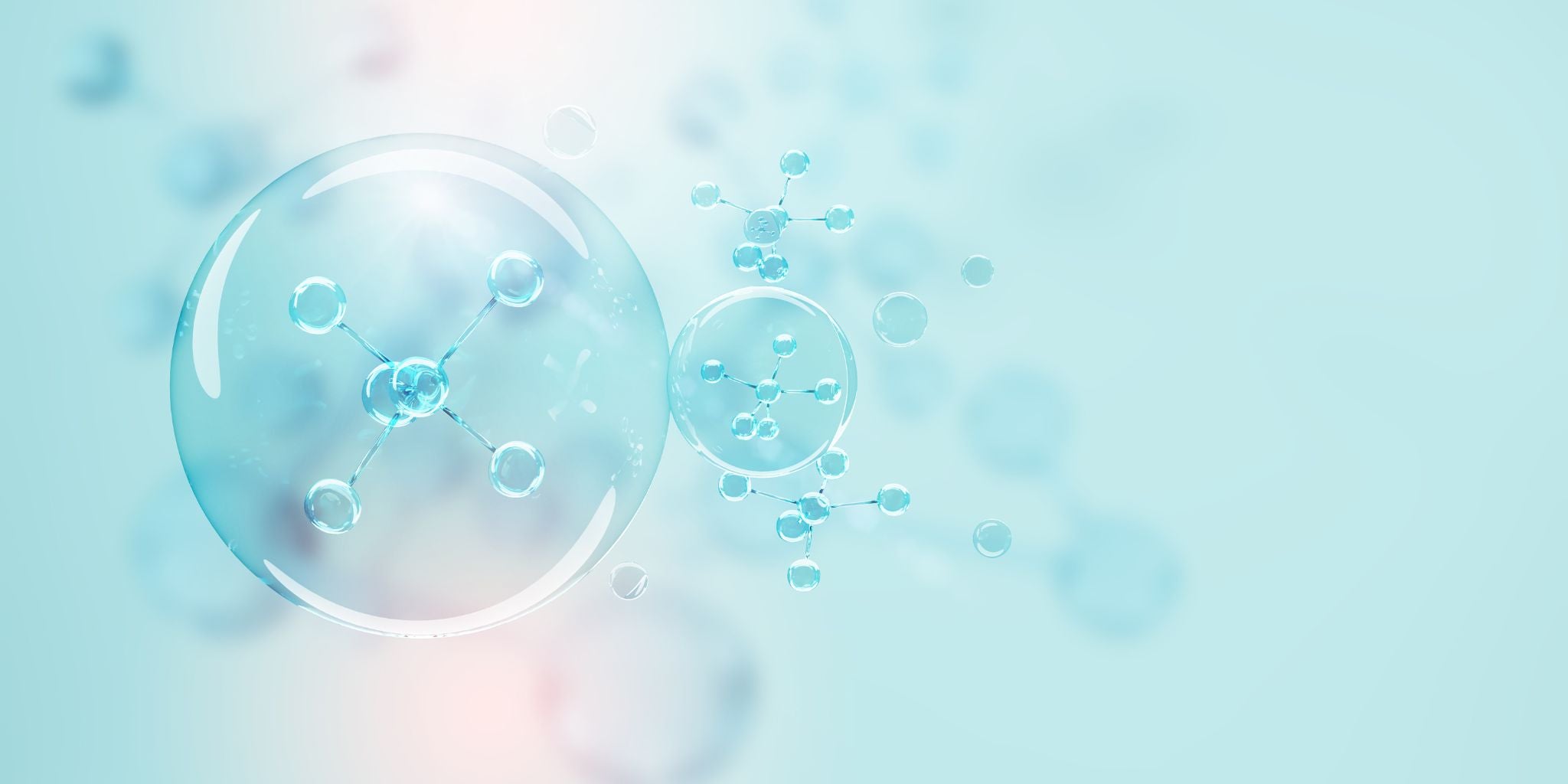 Cell Renewal and Exfoliation