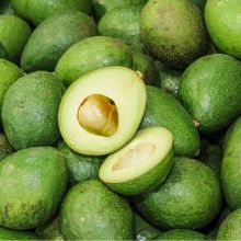 Avocado Virgin Oil -Certified Organic