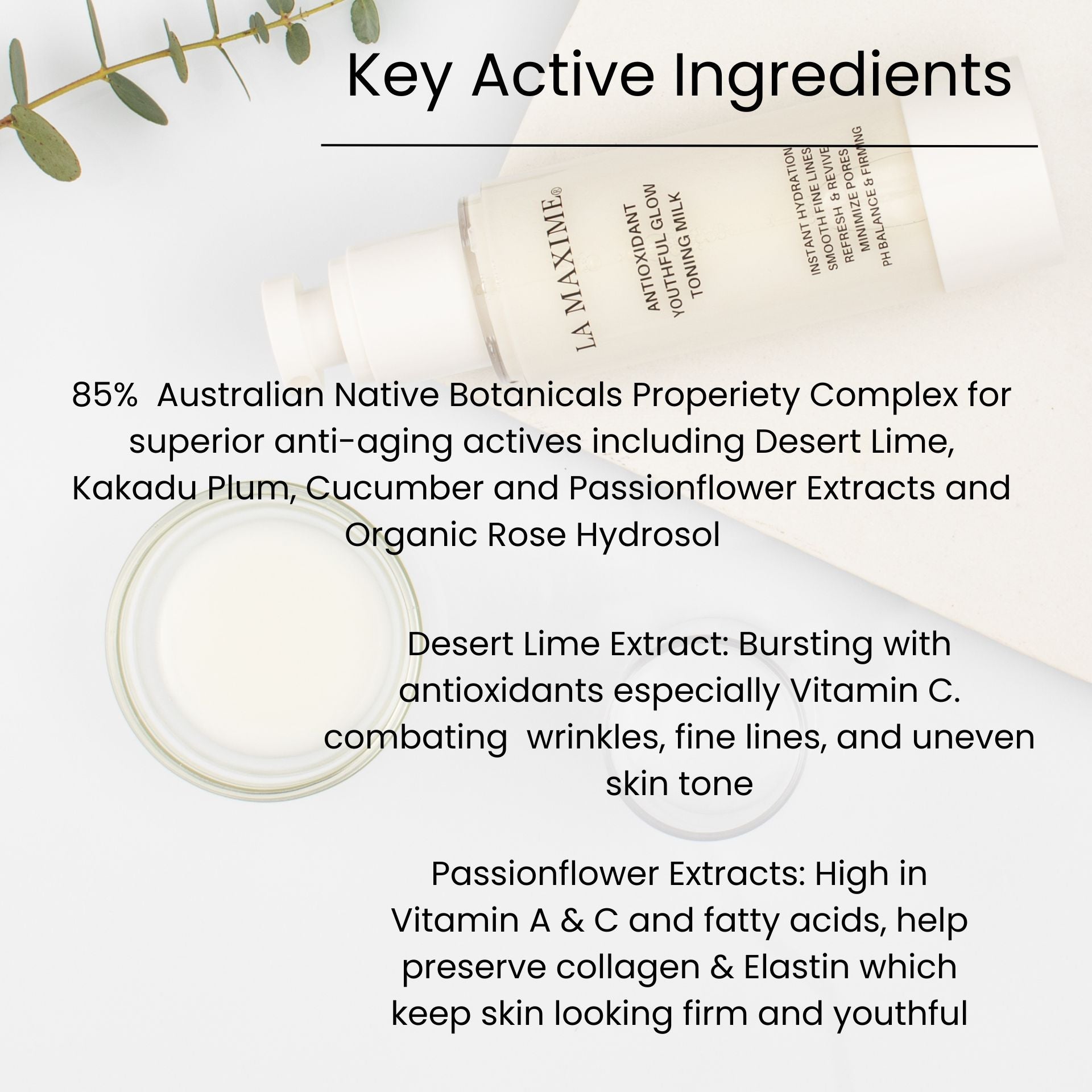 Toning Milk Key active Ingredients