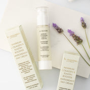 Maximum Collagen & Elastin Booster Antioxidant Day Cream