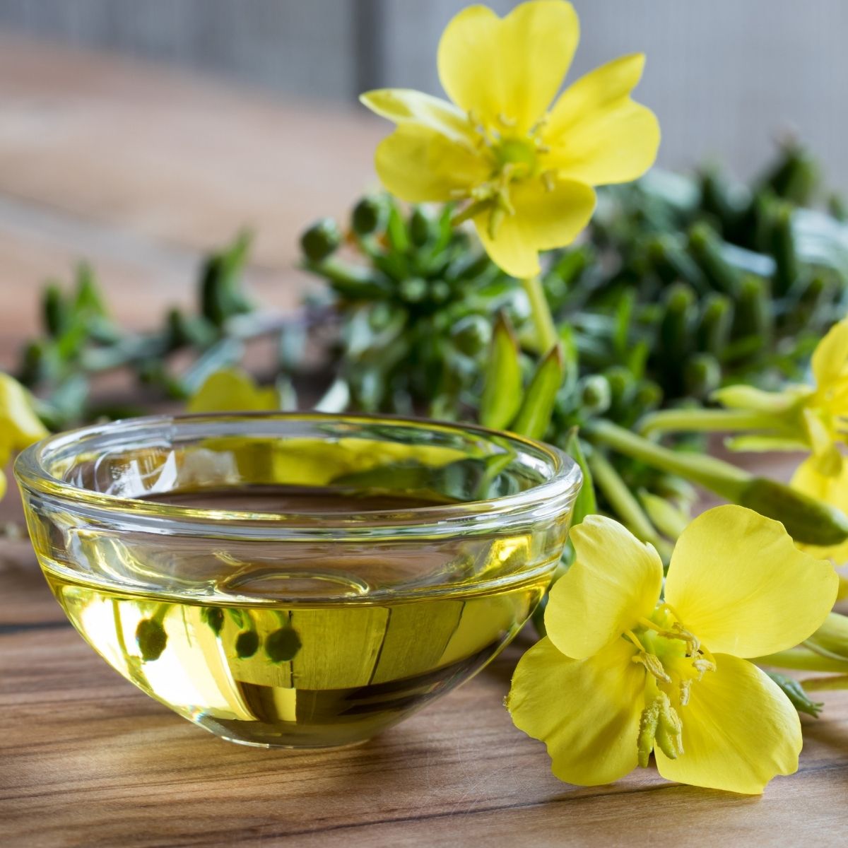Evening Primrose Oil -Certified Organic