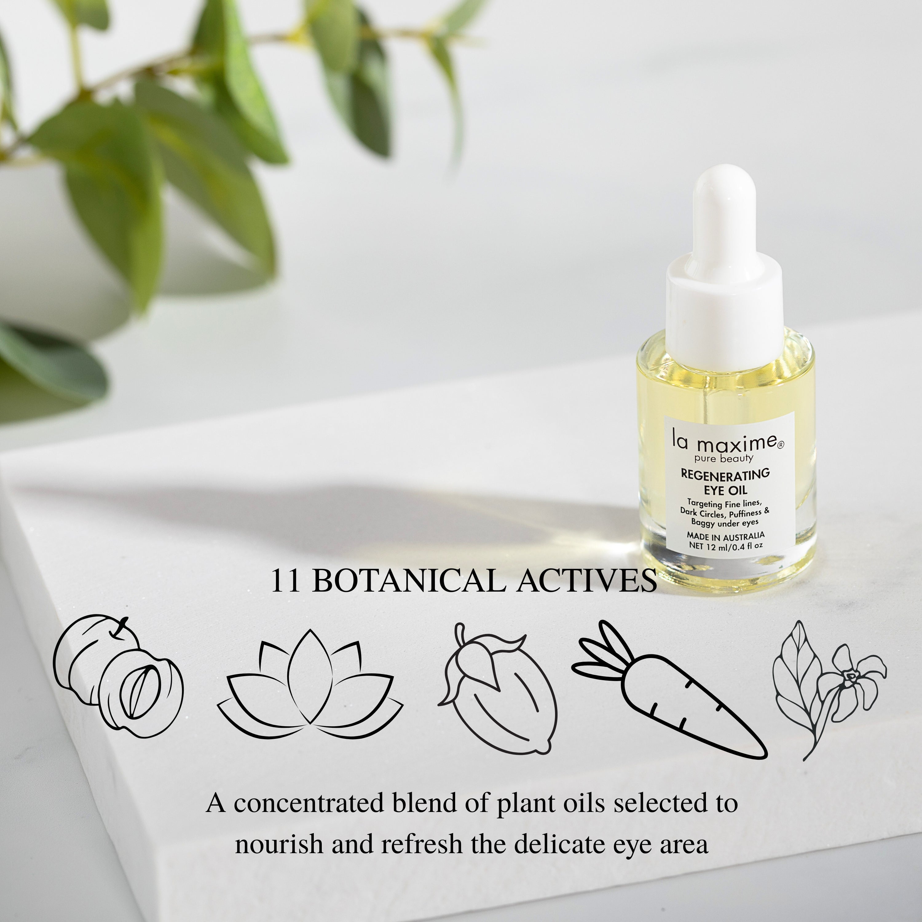 Regenerating Eye Oil