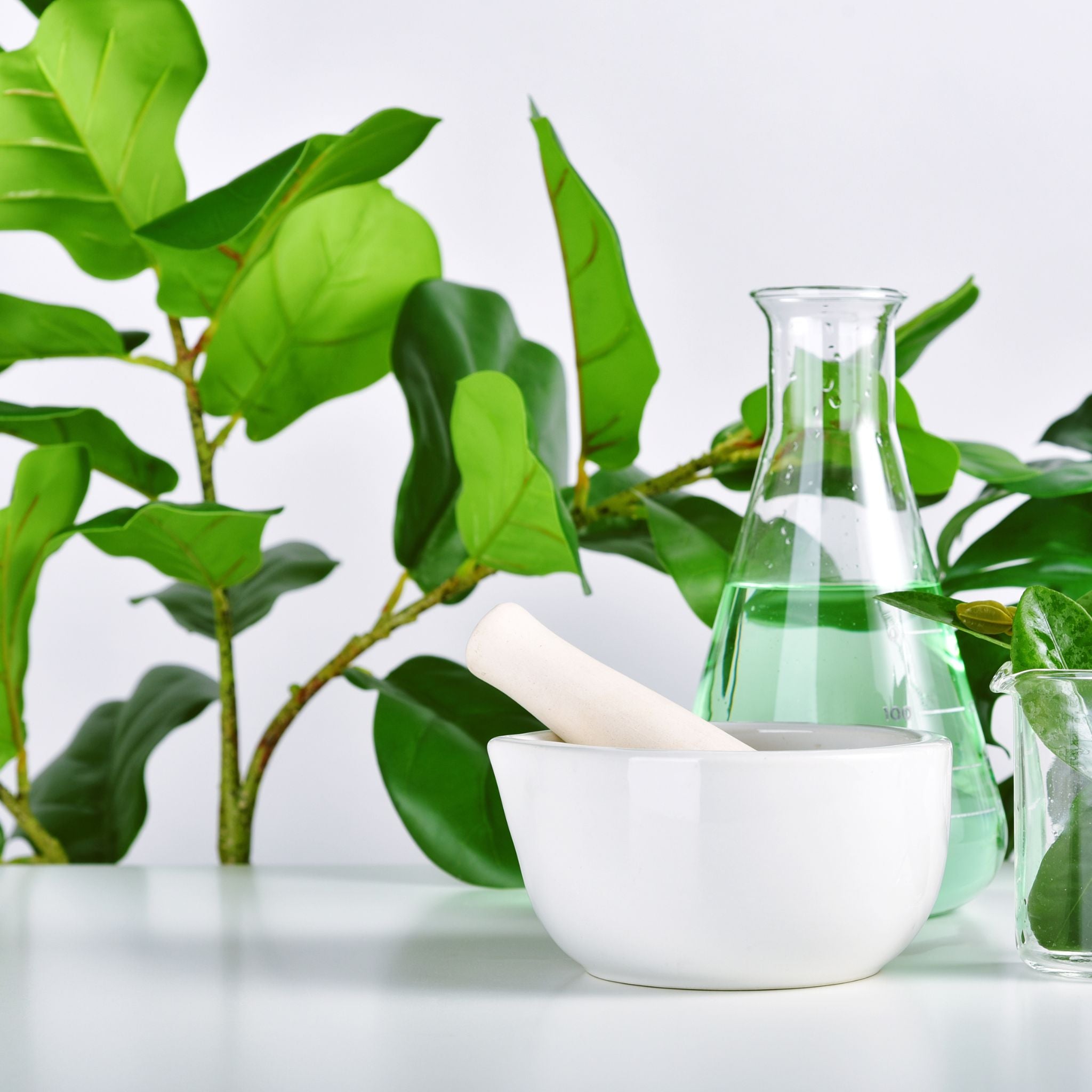 Naticide® Natural Preservation