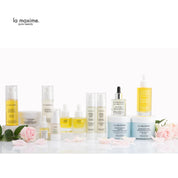 LA MAXIME Product lineup