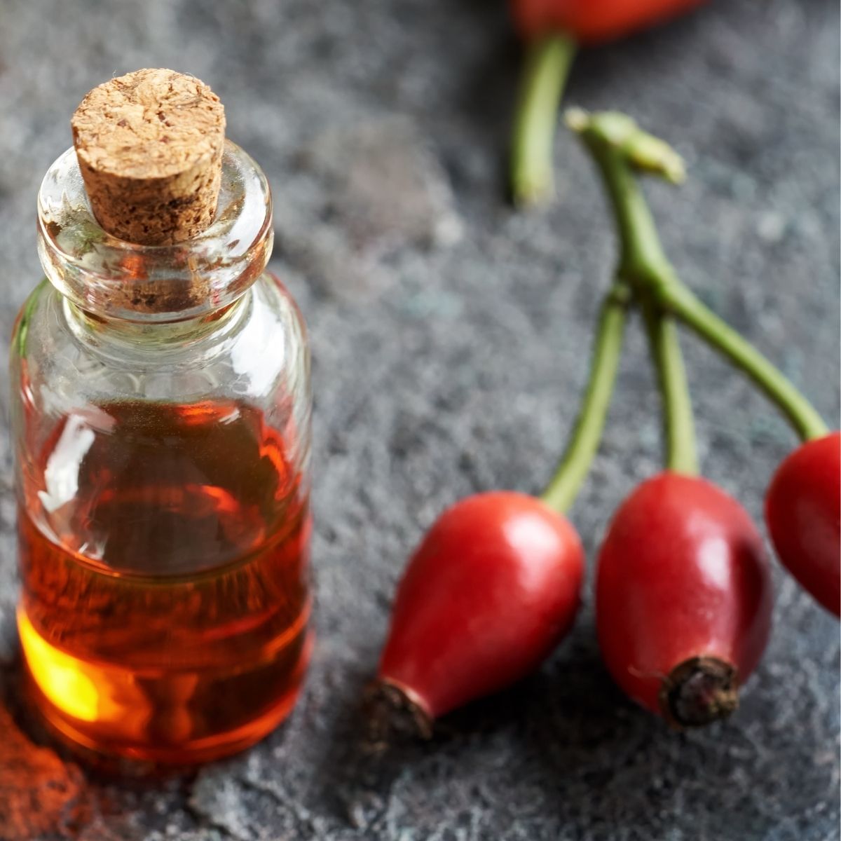 Rosehip Seed Oil – Botanical Oil